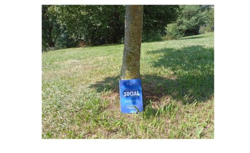 Libro de Trabajo Social en Ejercicio Libre sobre una explanada de cesped y apoyado en el tronco de un árbol.