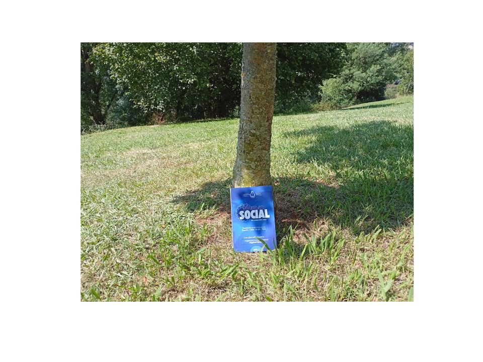 Libro de Trabajo Social en Ejercicio Libre sobre una explanada de cesped y apoyado en el tronco de un árbol.