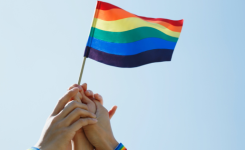 protocolo LGTBI Trabajo Social